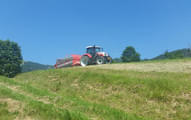 Sonstige Bild 7